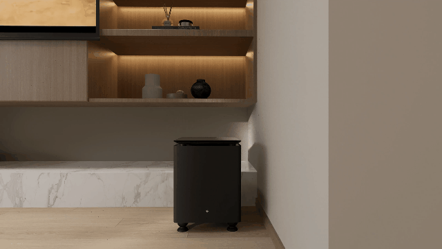 Subwoofer 10"