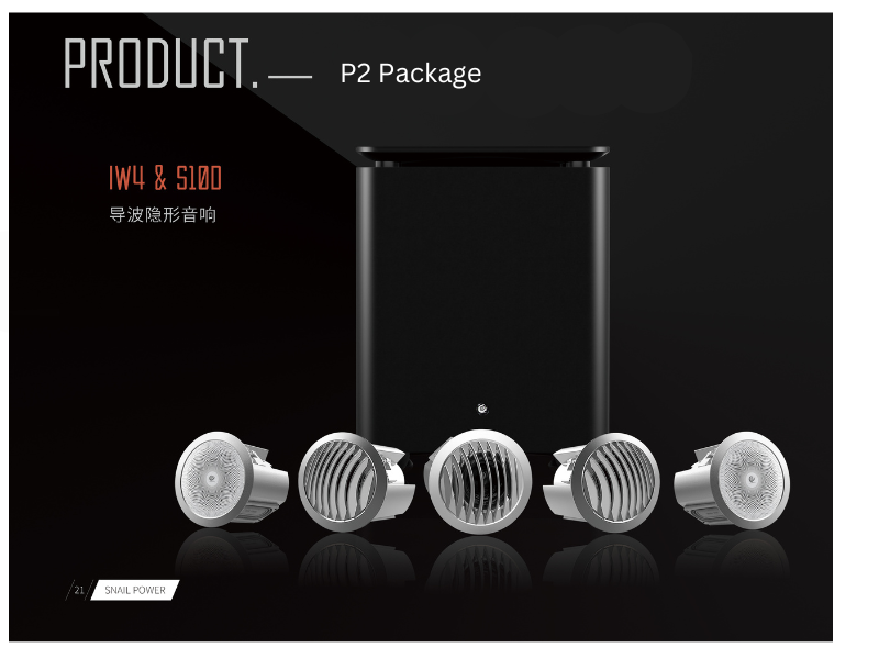 In Ceiling Cinema Package - P2